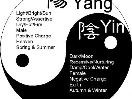 หยินหยางกับสมุนไพรจีนปู่เซิน