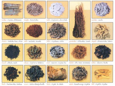 สมุนไพรจีนกับการแพทย์แผนจีนและปู่เซิน