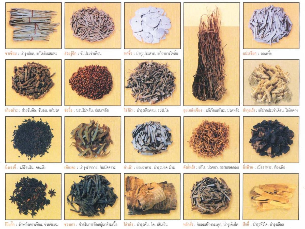 สมุนไพรจีนกับการแพทย์แผนจีนและปู่เซิน